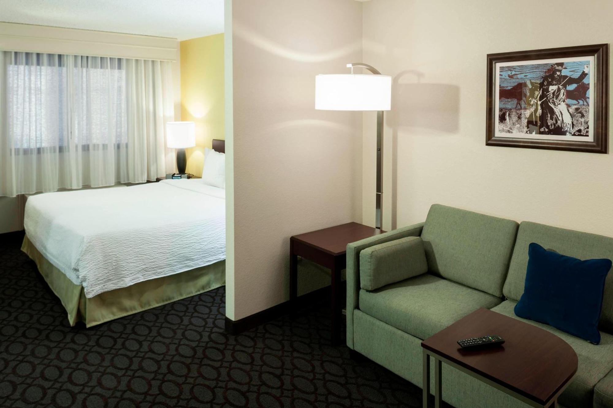 Springhill Suites By Marriott Dallas Downtown / West End Exterior foto